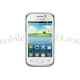 Unlock Samsung Galaxy Young, GT-S6310, GT-S6310N