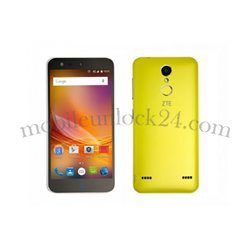 Unlock  ZTE Blade X 